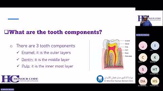1st Webinar: Healthy Smile, Raising Awareness of the Risks of Tooth Decay in Children – Part 2